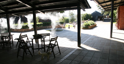 a0249004_912569.jpg