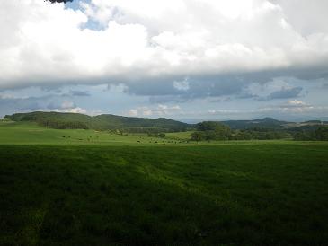 d0127907_13265792.jpg