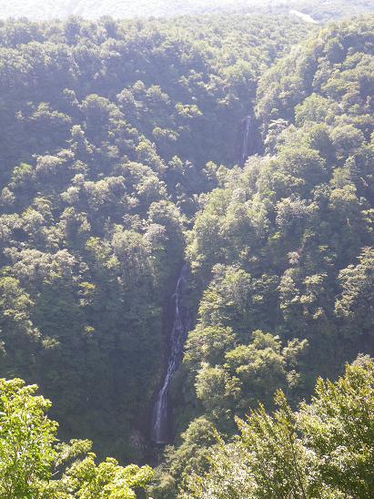 d0127907_1419840.jpg