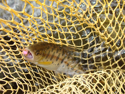 e0123808_23124457.jpg