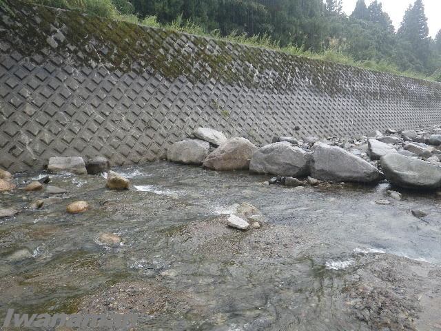 b0172209_915525.jpg