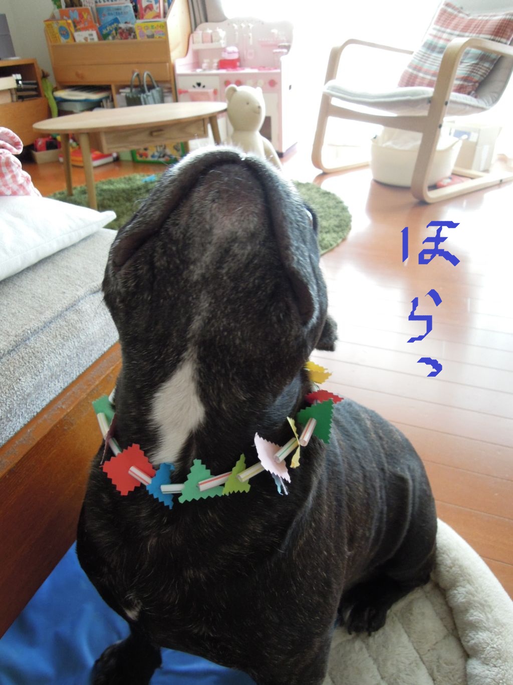 c0113109_23151491.jpg