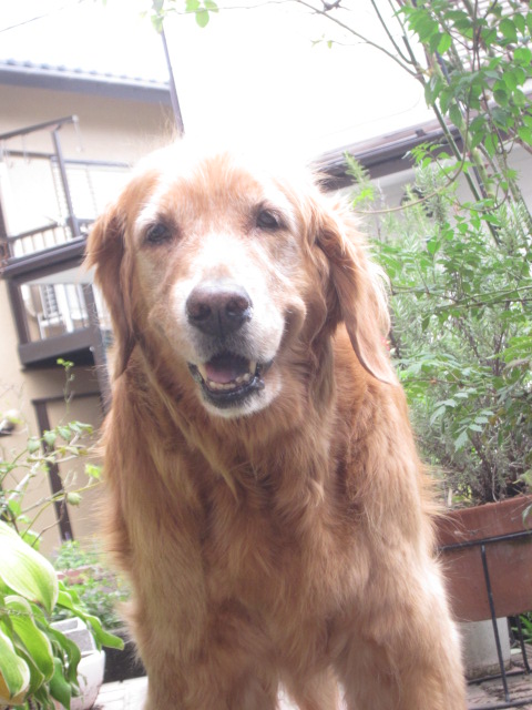 d0150309_1957598.jpg