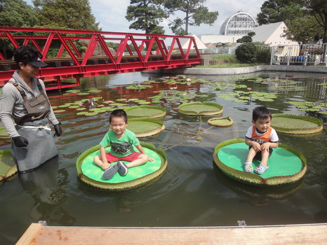 d0004617_10582536.jpg