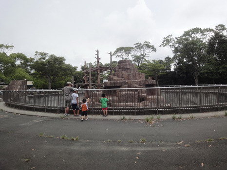 d0004617_10584781.jpg