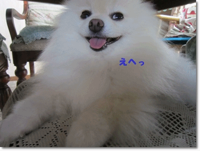 b0167519_9534415.gif