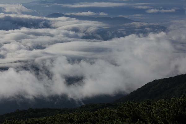 e0242721_10143580.jpg