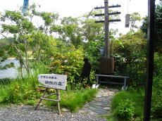 f0135222_2323222.jpg