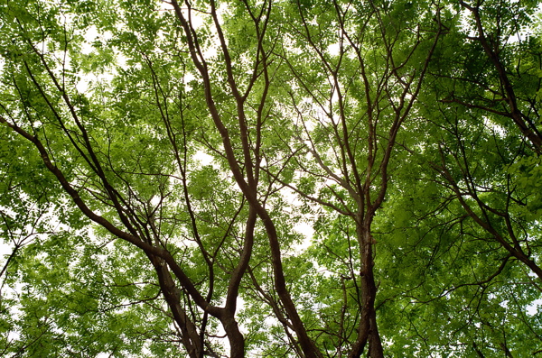 f0182924_20413110.jpg