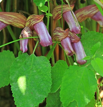 c0104227_17594174.jpg