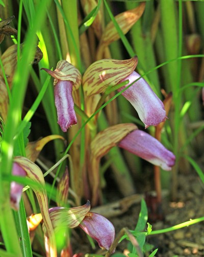 c0104227_18037.jpg