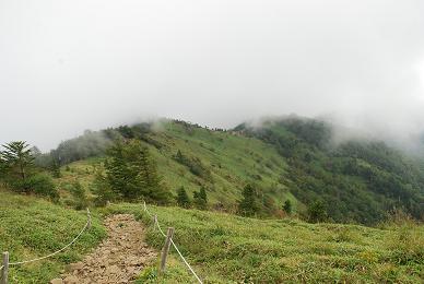 d0099727_16555265.jpg