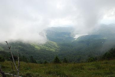 d0099727_18184997.jpg