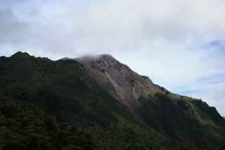d0159829_16275591.jpg
