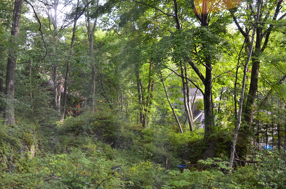 f0124830_1251498.jpg