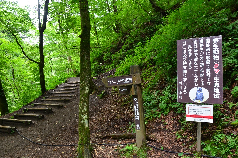 f0124830_14141353.jpg