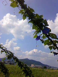 c0090534_19403238.jpg