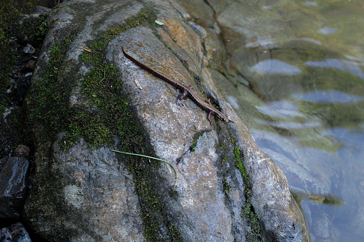 b0237035_20124228.jpg