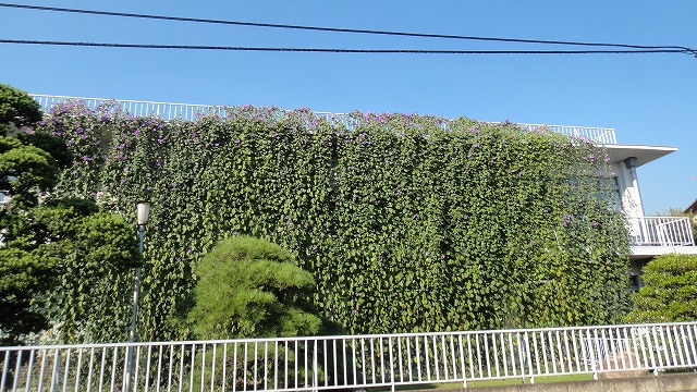 f0208737_742395.jpg