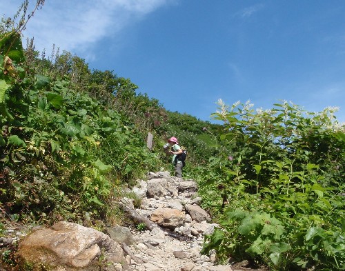d0107938_9562563.jpg