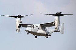 e0009760_85652.jpg