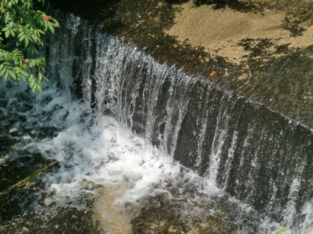 d0105063_19381142.jpg