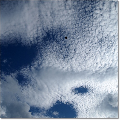 a0141366_22474285.jpg