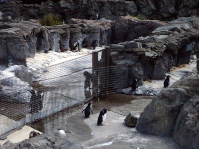 f0099367_12444026.jpg