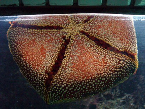 f0099367_12453056.jpg