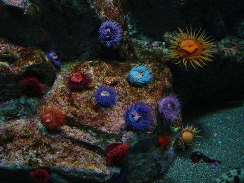 f0099367_12453578.jpg