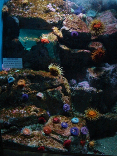 f0099367_1245423.jpg