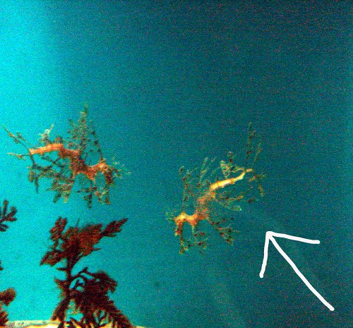 f0099367_12455183.jpg