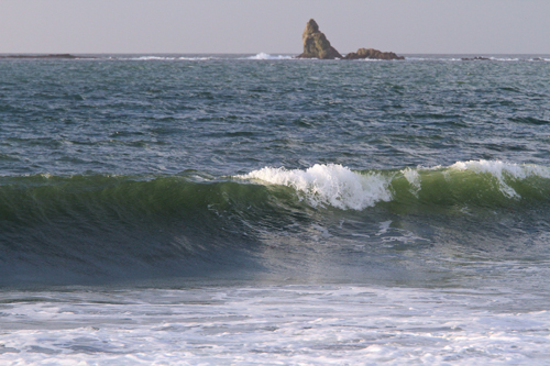 a0157069_714922.jpg