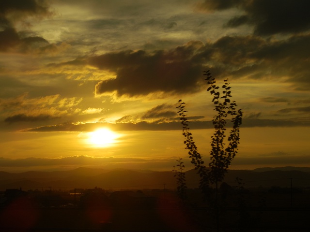 c0042869_6213539.jpg