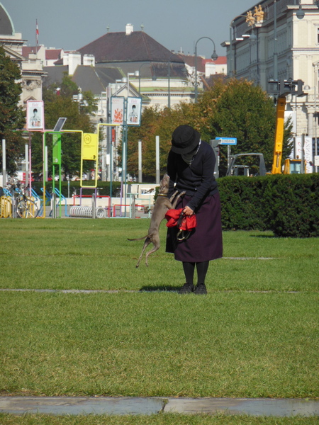 a0080183_3464627.jpg