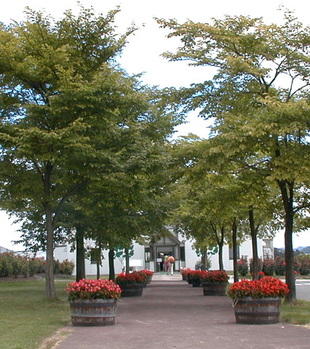 b0169987_22515410.jpg