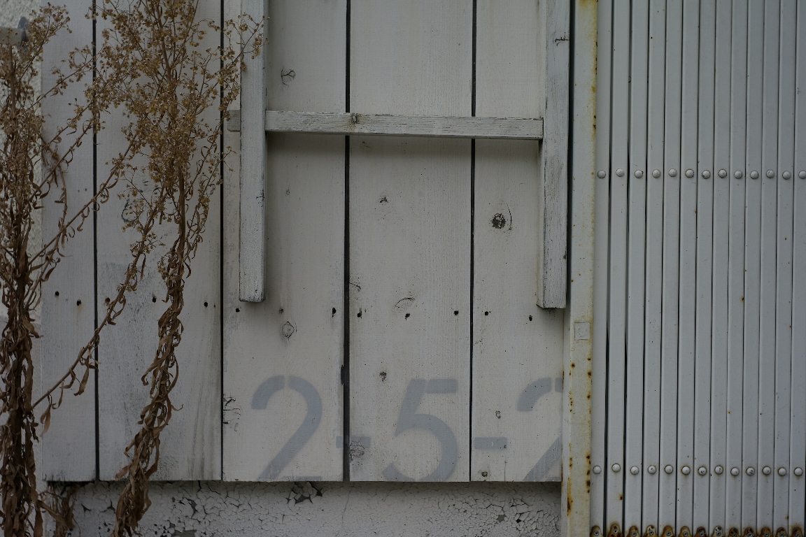 e0025893_17552576.jpg