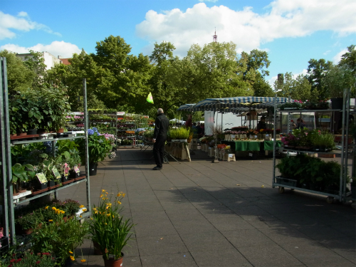 e0149604_17371791.jpg