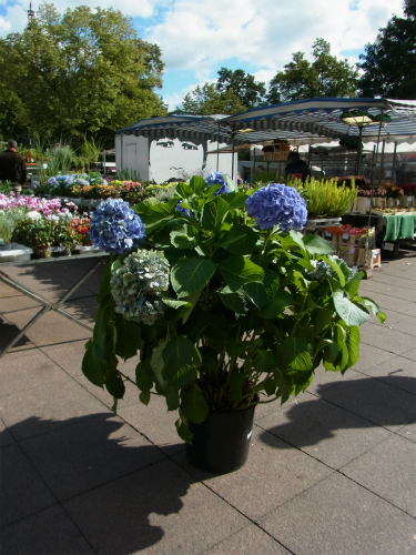 e0149604_1737297.jpg