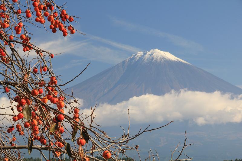 a0188405_9221472.jpg