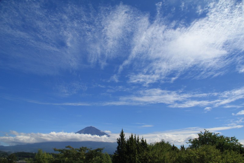 a0188405_9272389.jpg