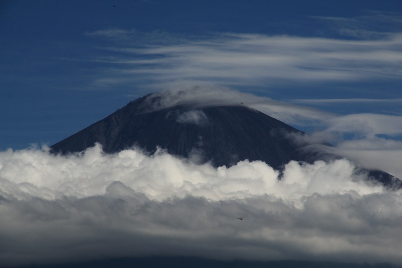 a0188405_9274354.jpg