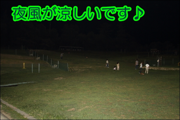 e0100007_2254763.jpg