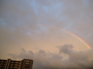 c0050708_6532959.jpg