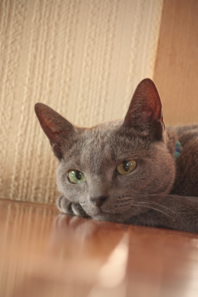 d0001008_538308.jpg