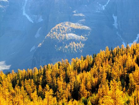 b0051109_9363536.jpg