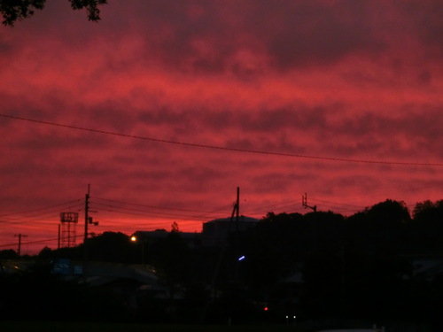 b0239909_2240425.jpg