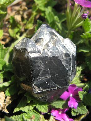 e0139012_2210570.jpg