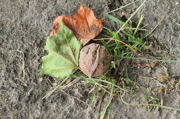 a0109914_120037.jpg