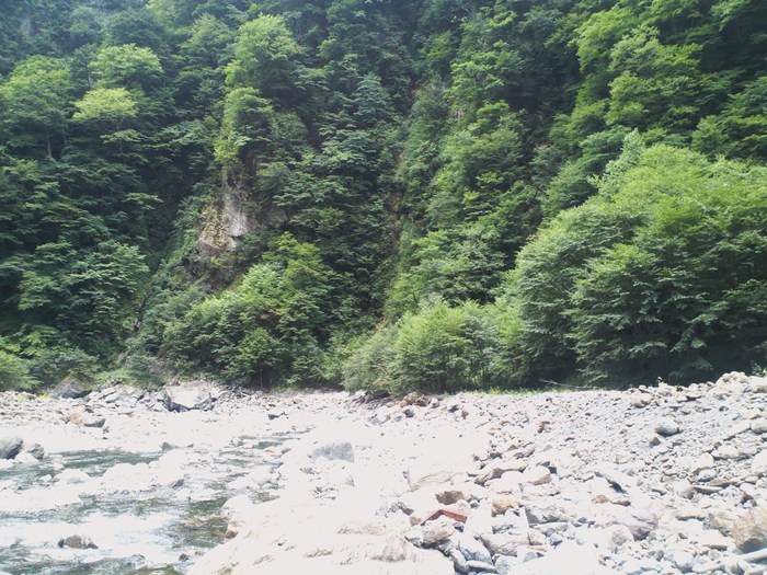 d0168318_22234353.jpg